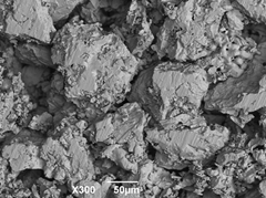 香港马料正版资料